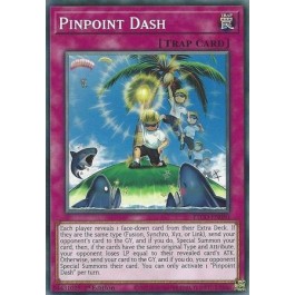 Pinpoint Dash