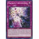 Magikey Unlocking