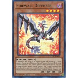 Firewall Defenser