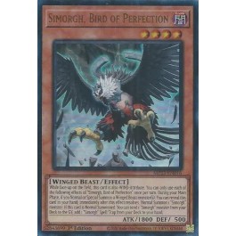 Simorgh, Bird of Perfection