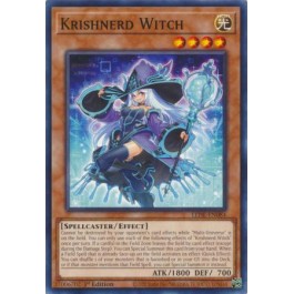 Krishnerd Witch